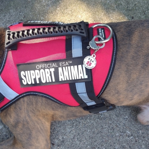 Meet The Posher - Picture 5 of 16